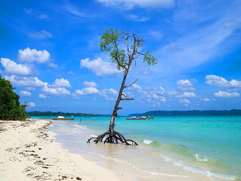 Havelock Island Events